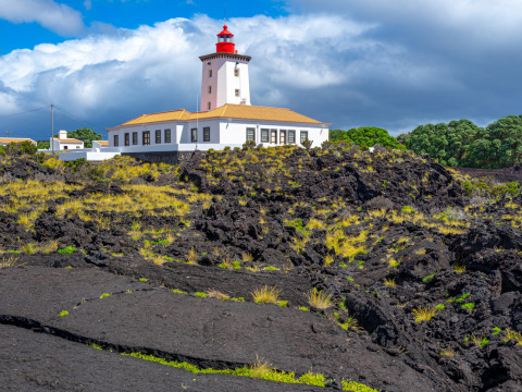 Pico Day Tour