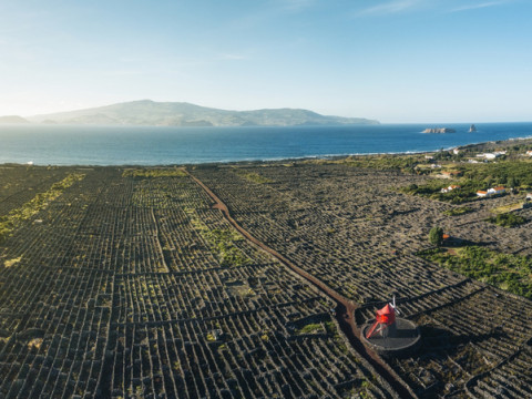 Pico half day tour