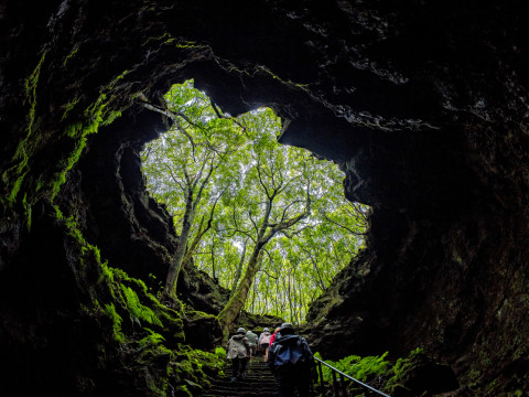 Pico half day caving tour