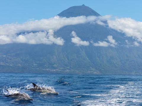 Classic 4 Islands of The Azores