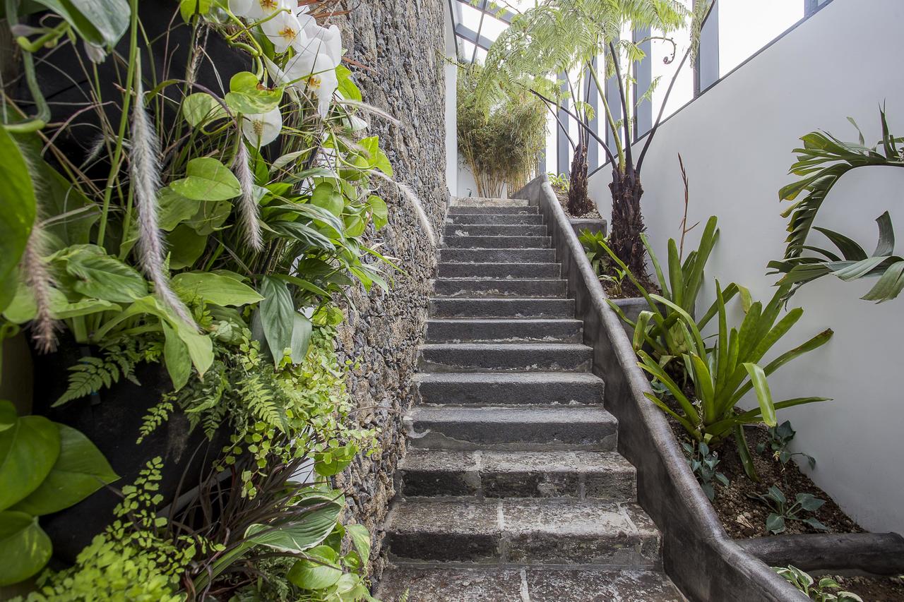 Image of White Ponta Delgarda Hotel