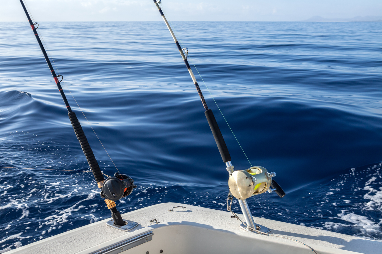 Image of Big Game Fishing Tour