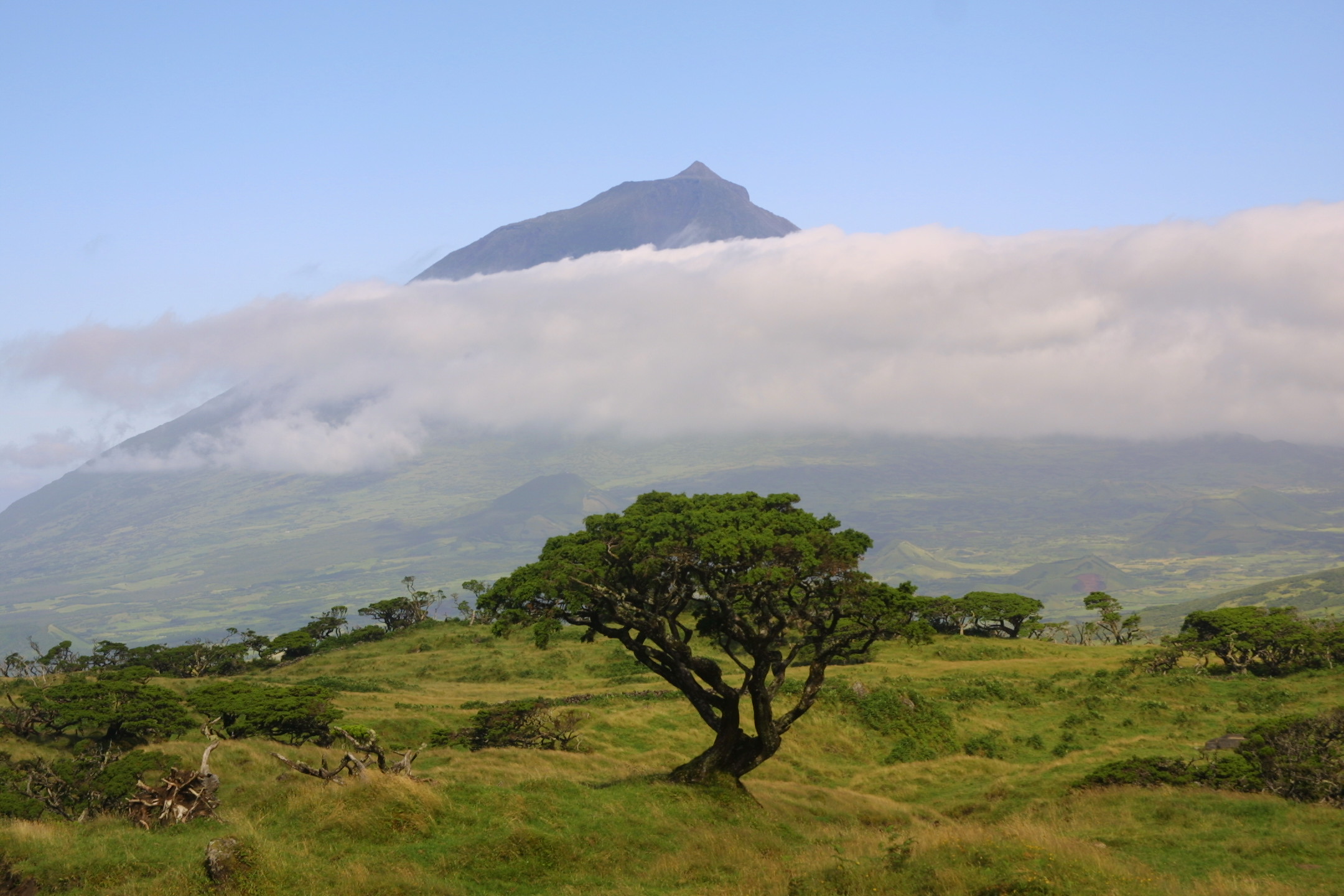 Image of Island Flight to Pico