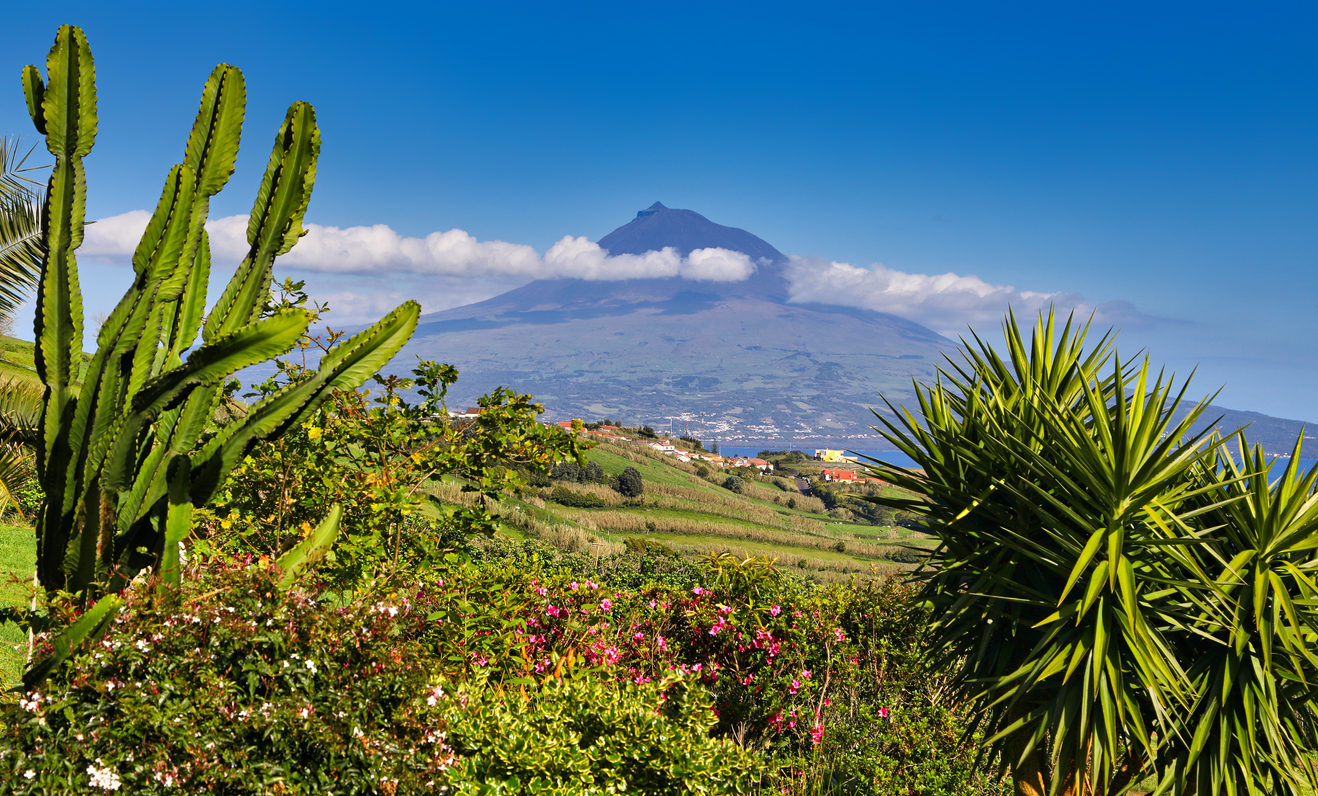 Image of Pico half day caving tour