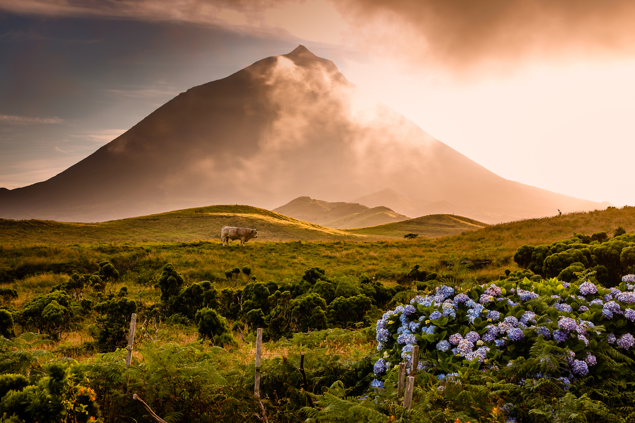 Image of 4 Islands  Sao Miguel, Pico, Faial, Terceira