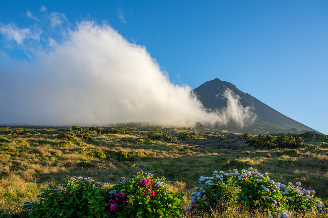 Image of 3 Islands with Focus on Terceira & Pico
