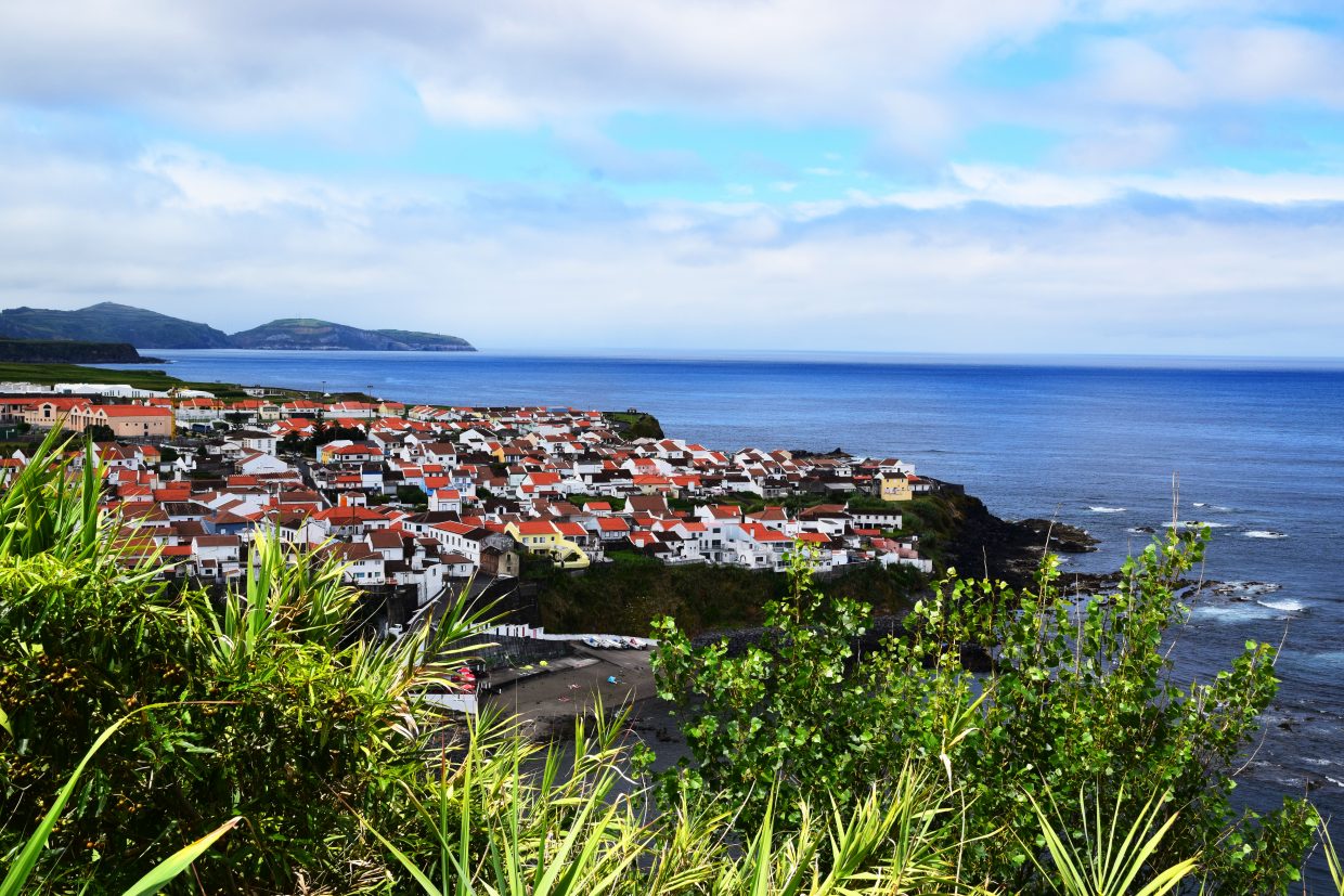 Image of Maia